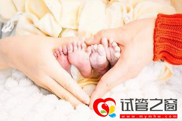 試管之窗