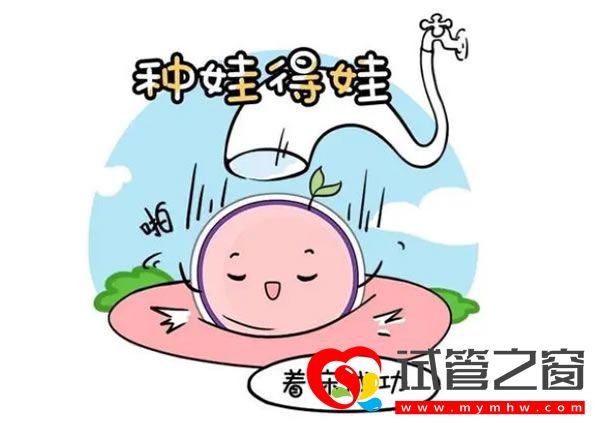 試管之窗 試管之窗